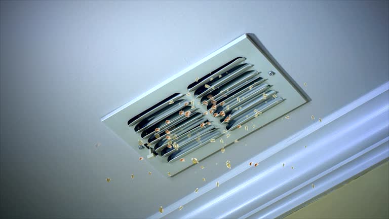 Best Duct Cleaning for Homes  in Geneva, FL