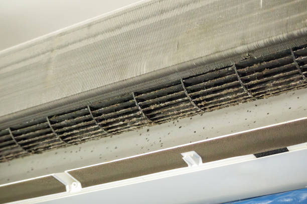 Best Affordable HVAC Duct Cleaning  in Geneva, FL